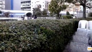 麻豆视频 一区⭕❌欧美精品A片XXX⭕❌欧美性猛交XXXX乱大交极品-无码av电影在线观看不卡